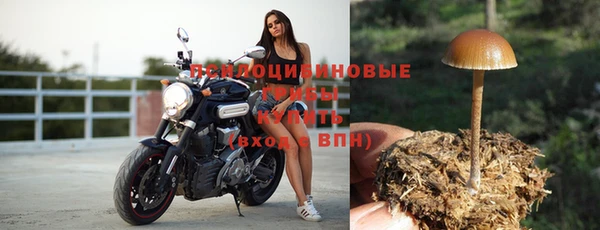 а пвп мука Мегион